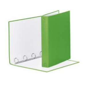 RACCOGL.MEETING 4R VERDE VIVID22X30