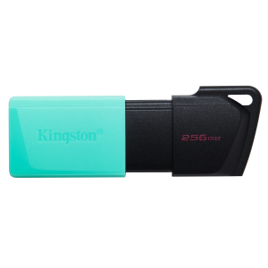 FLASH DRIVE USB3.2 256GB KINGSTON DTXM/256GB EXODIAM NERO+VERDE